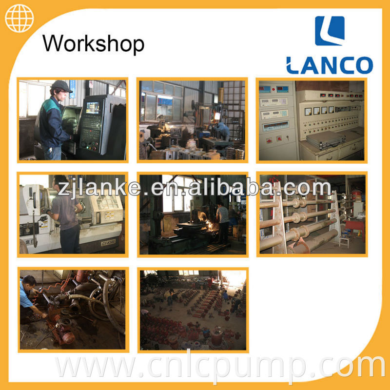 Lanco brand Electric water pump with ABB or Siemens